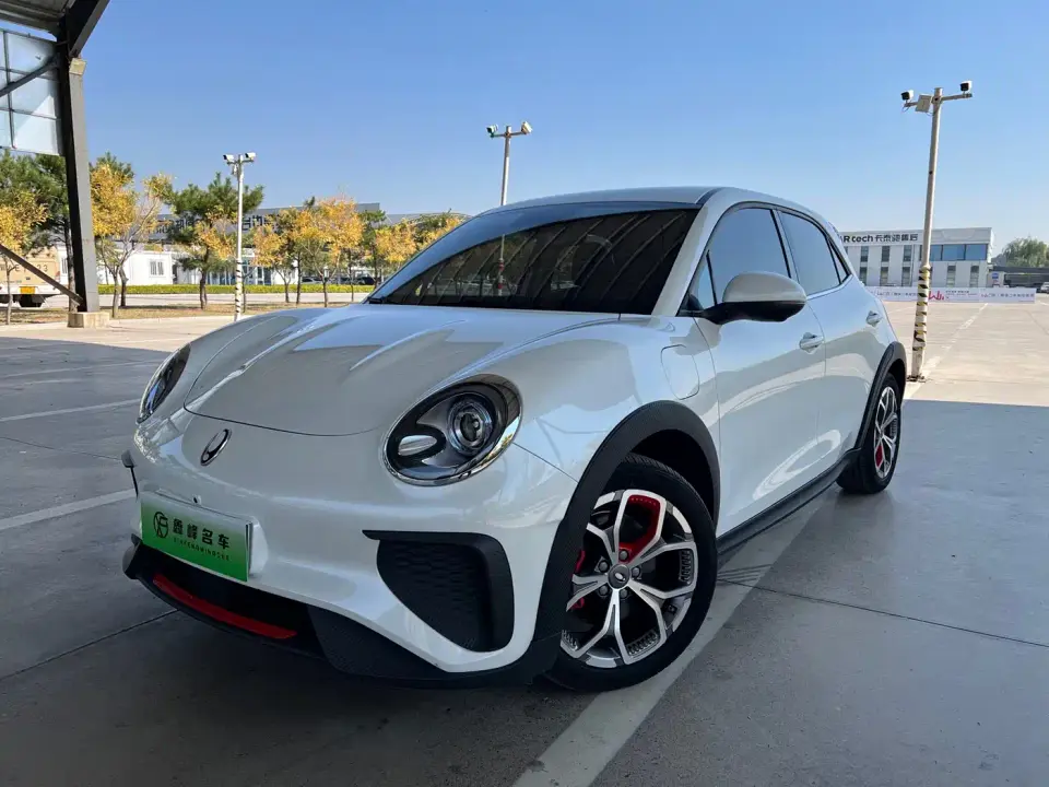 ORA Good Cat GT Mulan Edition 401km Luxury 2024