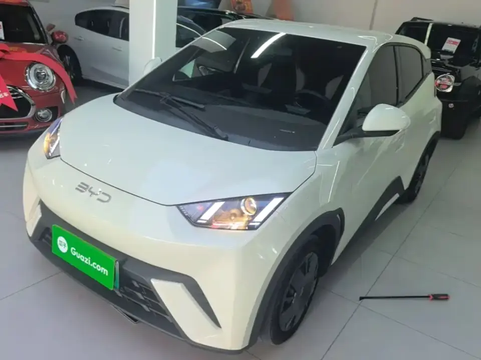 BYD Seagull Glory Edition 305km Vitality Edition 2024