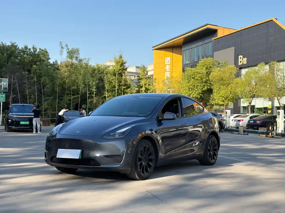 Tesla Model Y Long Range AWD 2022