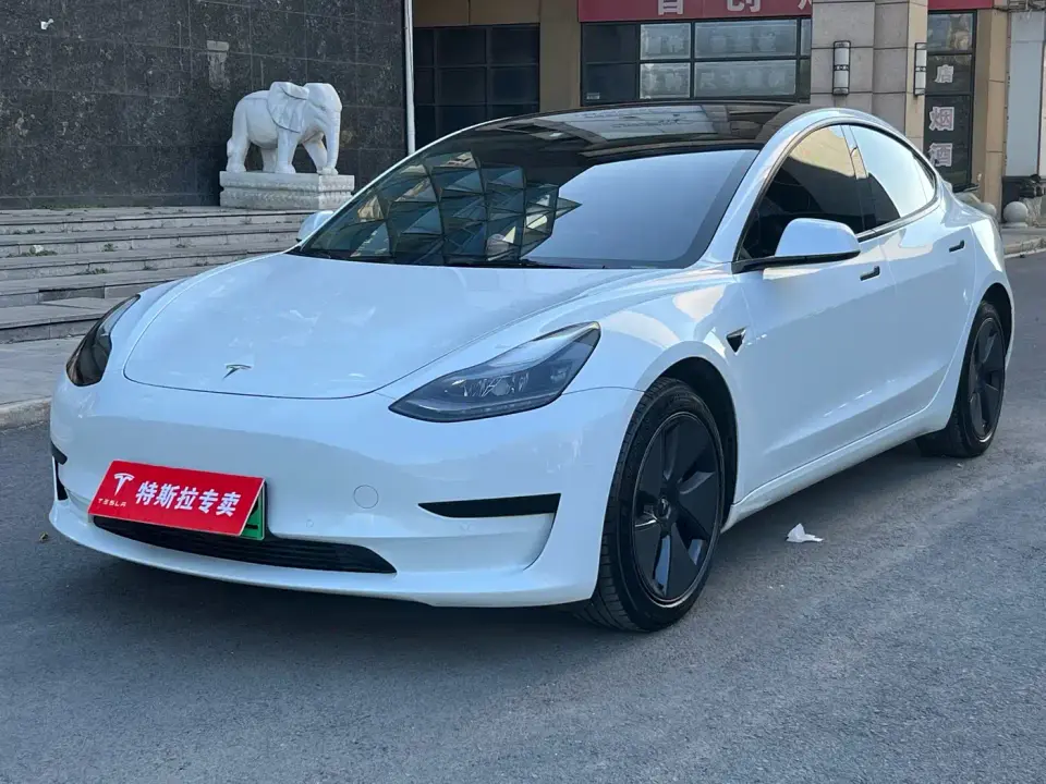 Tesla Model 3 Standard Range Rear-Wheel Drive Upgrade 2021
