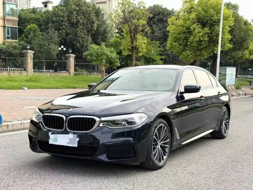 BMW 5 Series 530Li Leading M Sport Package 2020