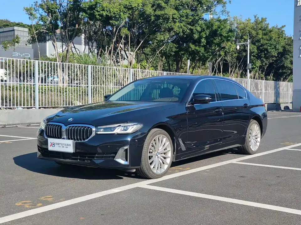 BMW 5 Series 530Li Premium Luxury Package 2021