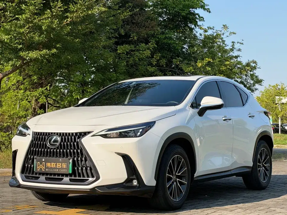 Lexus NX New Energy 400h+ Joy Edition 2022
