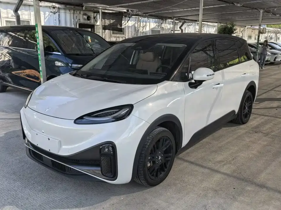 Arcfox Koala Family Edition 2024