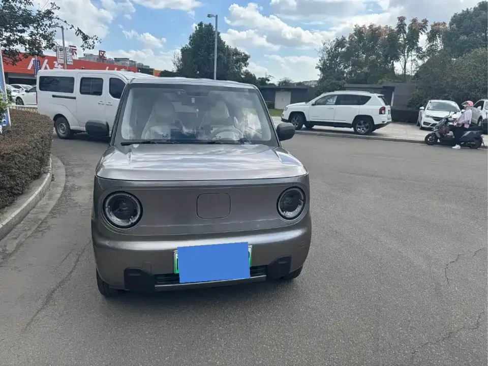 Geely Galaxy Panda Panda mini 200km Longteng PRO Edition 2024