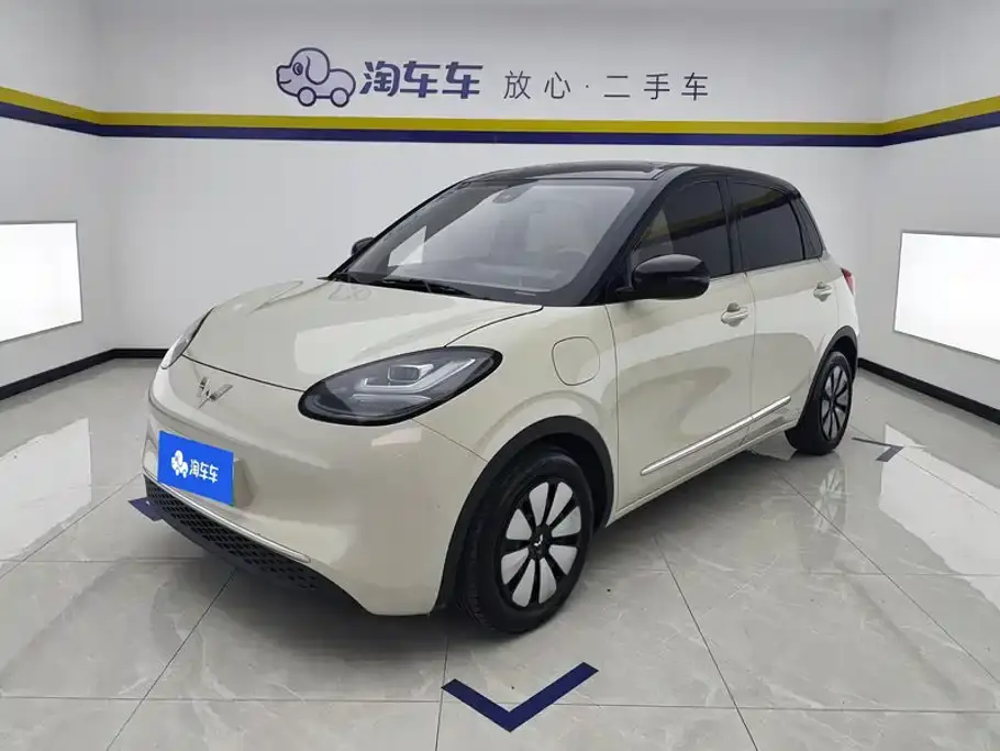 Wuling Motors Wuling Bingo Model 333km Joy+ Version 2024