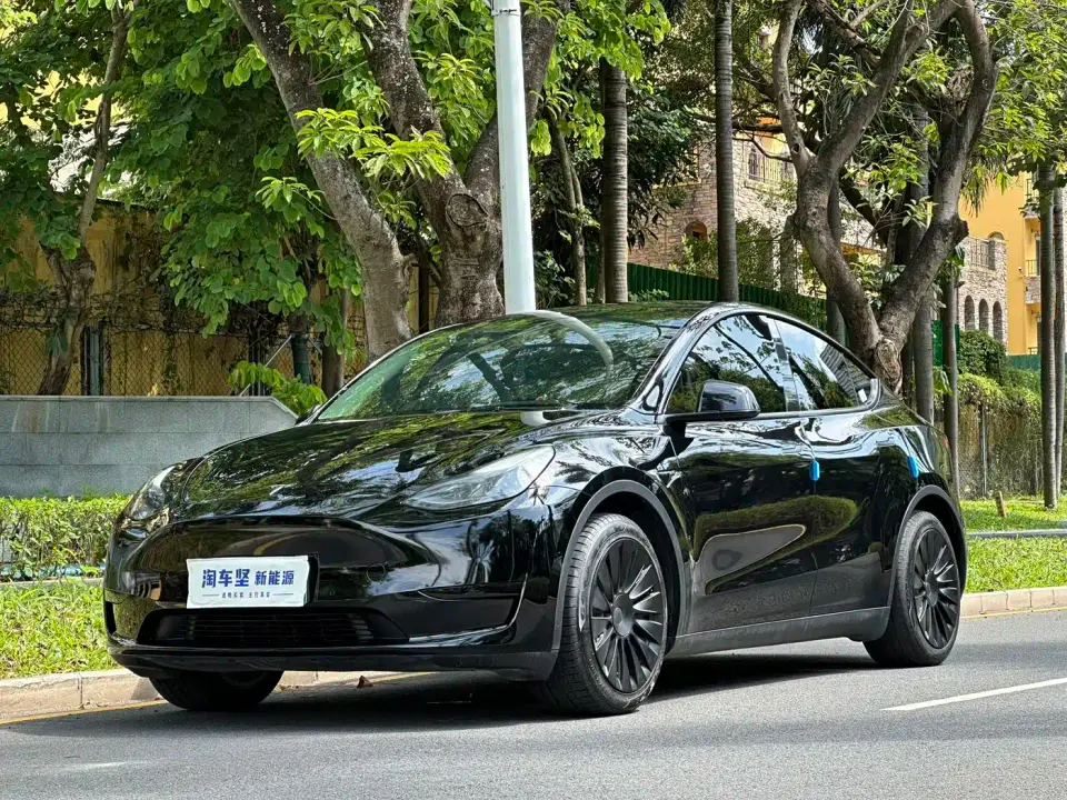 Tesla Model Y Rear-Wheel Drive Version 2022