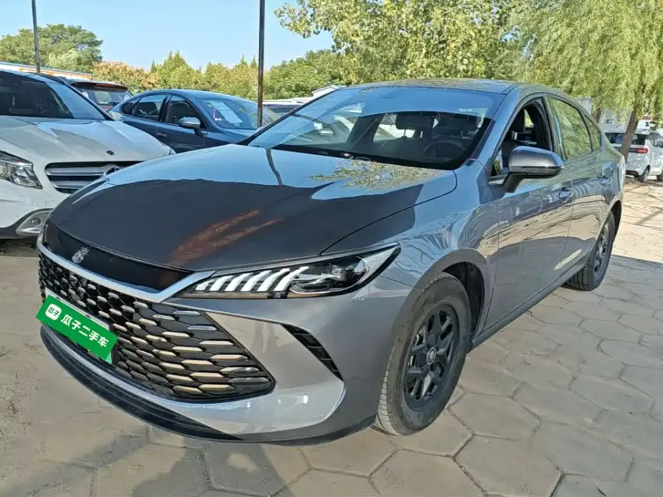 BYD Qin PLUS DM-i Smart Drive 55KM Leader 2025