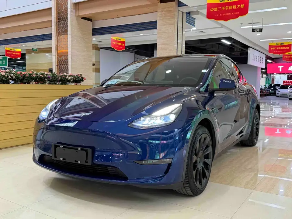 Tesla Model Y Model Long Range AWD 2021