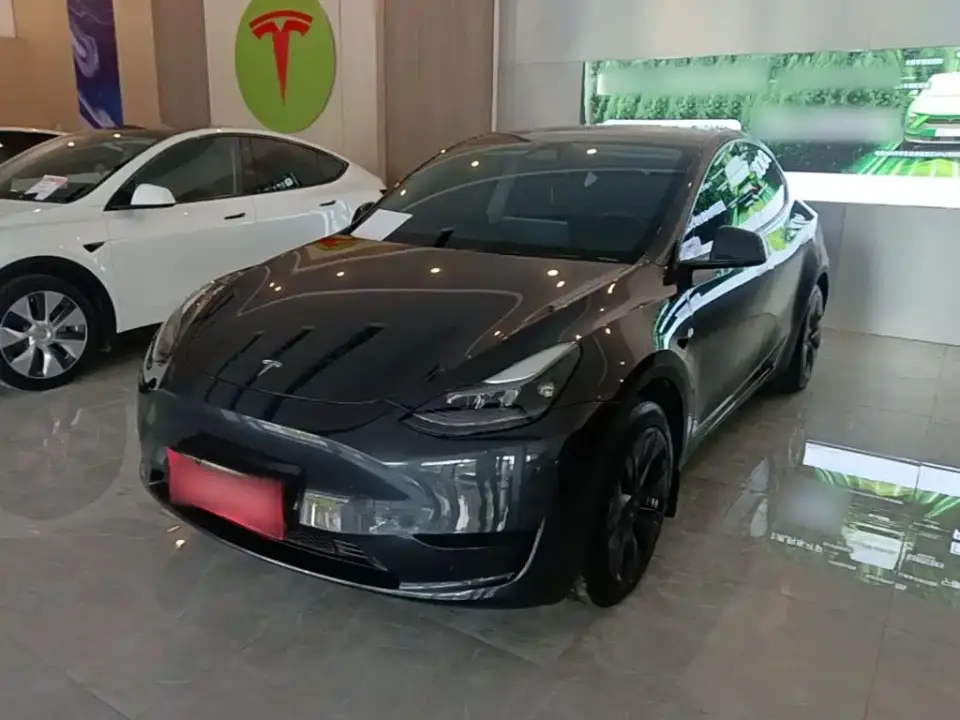 Tesla Model Y Rear-Wheel Drive Version 2024