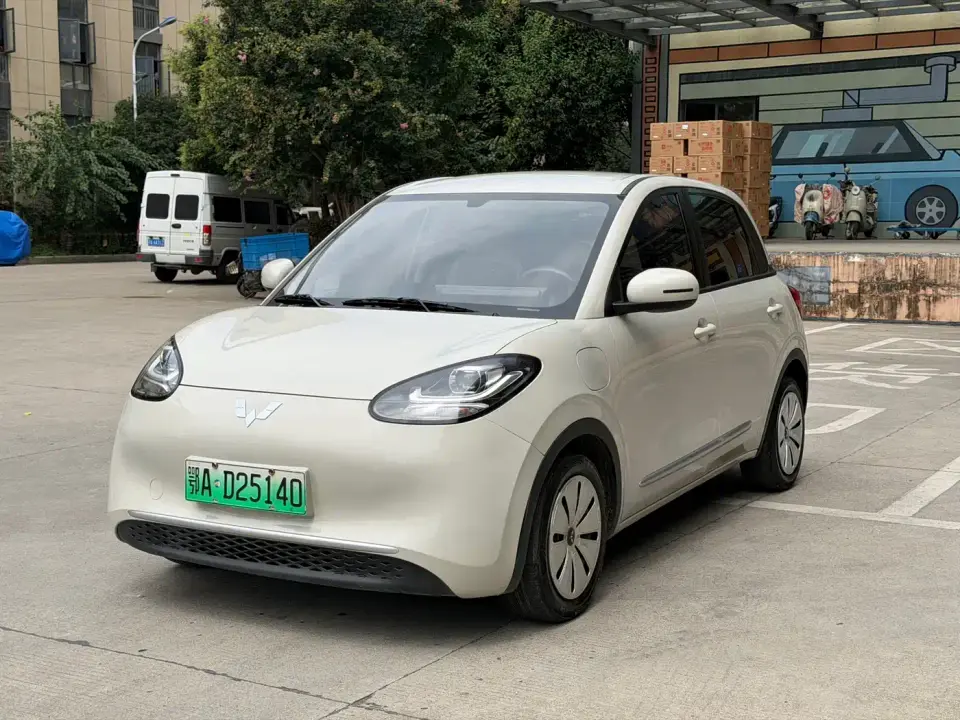 Wuling Motors Wuling Bingo 333km Joyful Version 2024