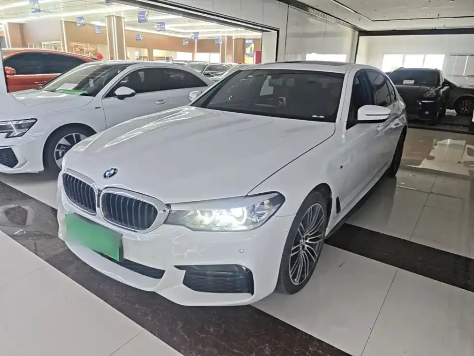 BMW 5 Series 530Li Leading M Sport Package 2019
