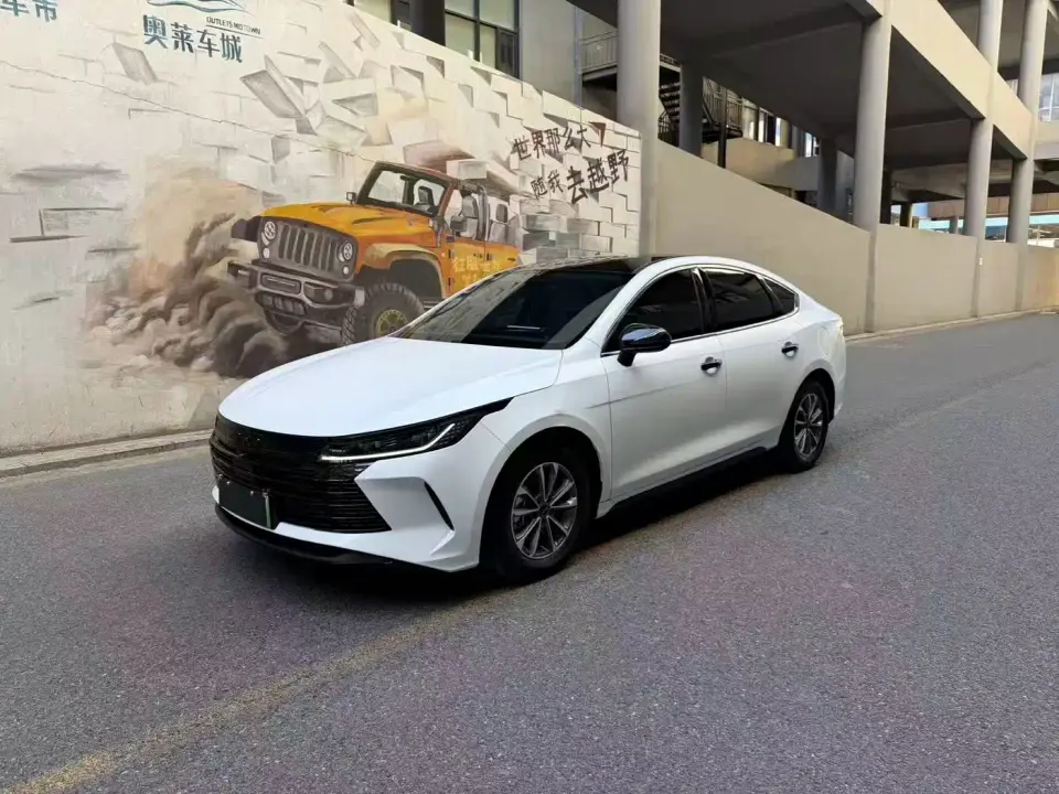 BYD Destroyer 05 Glory Edition DM-i 55KM Luxury 2024