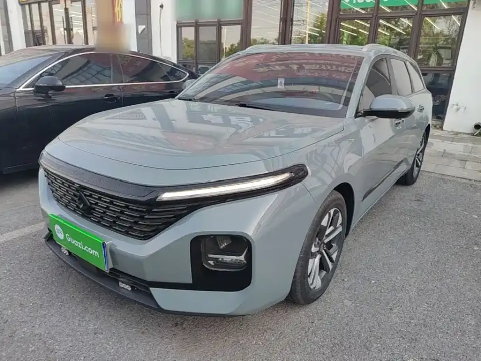 Baojun Valli 1.5T Nagqu Starry Sky CVT Flagship Model 2021