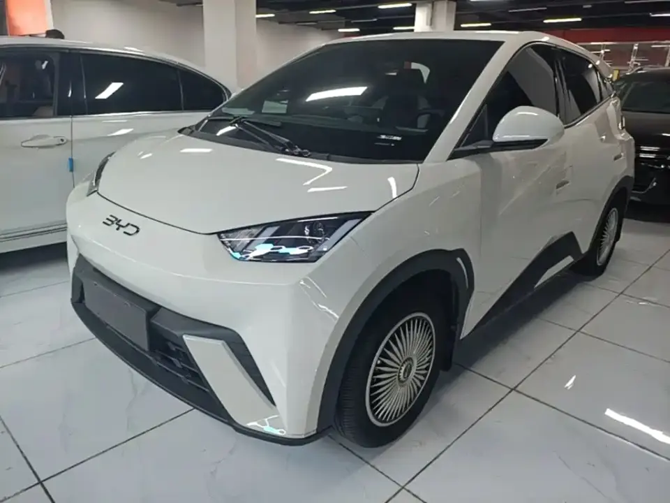 BYD Seagull Glory Edition 305km Vitality Edition 2024