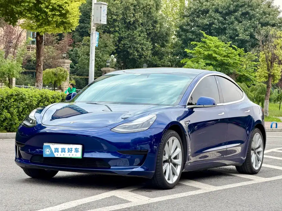 Tesla Model 3 (Import) Long Range RWD Version 2019