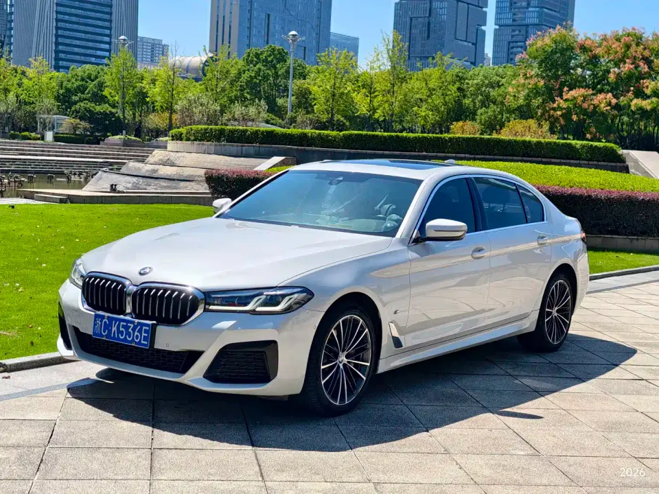BMW 5 Series 530Li Leading M Sport Package 2021