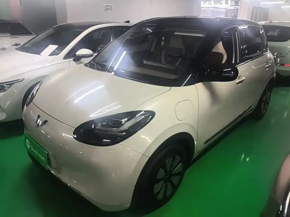 Wuling Motors Wuling Bingo Model 333km Joy+ Version 2023
