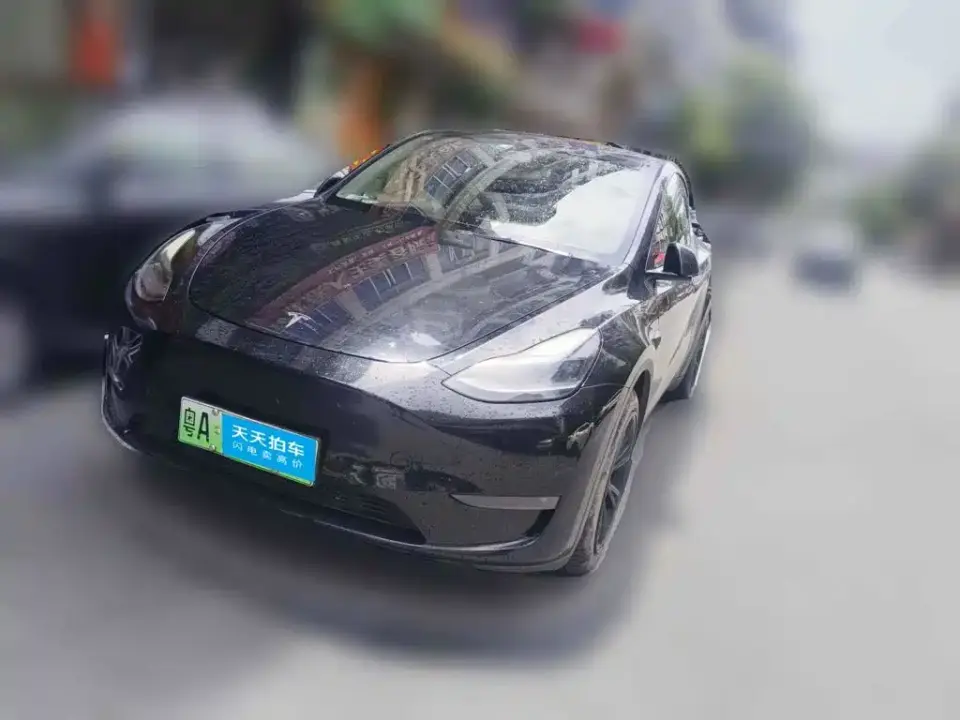 Tesla Model Y Standard Range Rear-Wheel Drive 2021