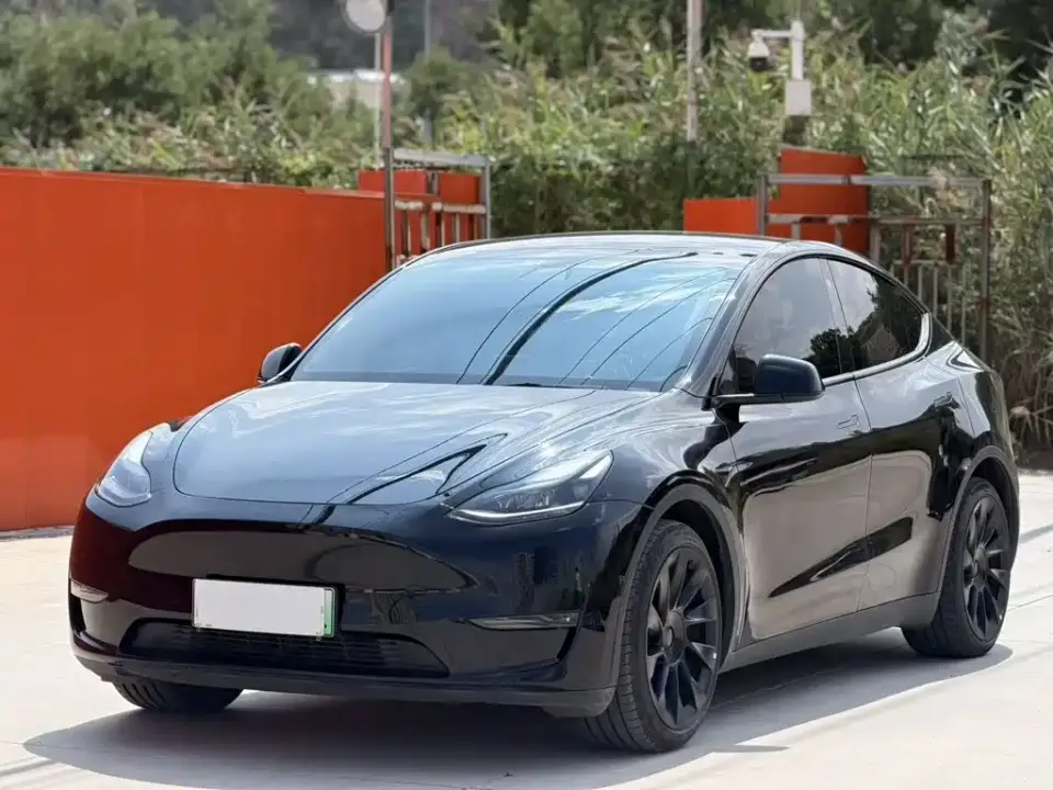 Tesla Model Y Model Long Range AWD 2021