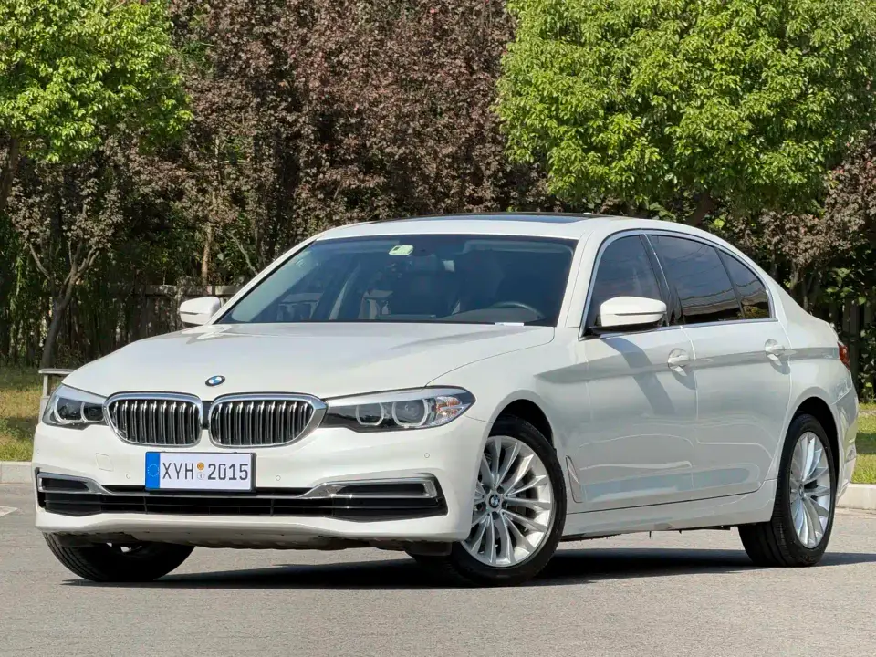 BMW 5 Series 525Li Luxury Package 2020