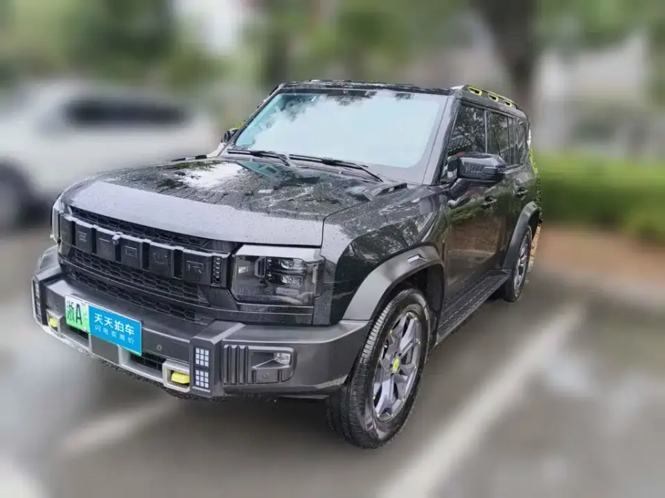Jetour Shanhai T2 C-DM 129KM Forest Edition 2024