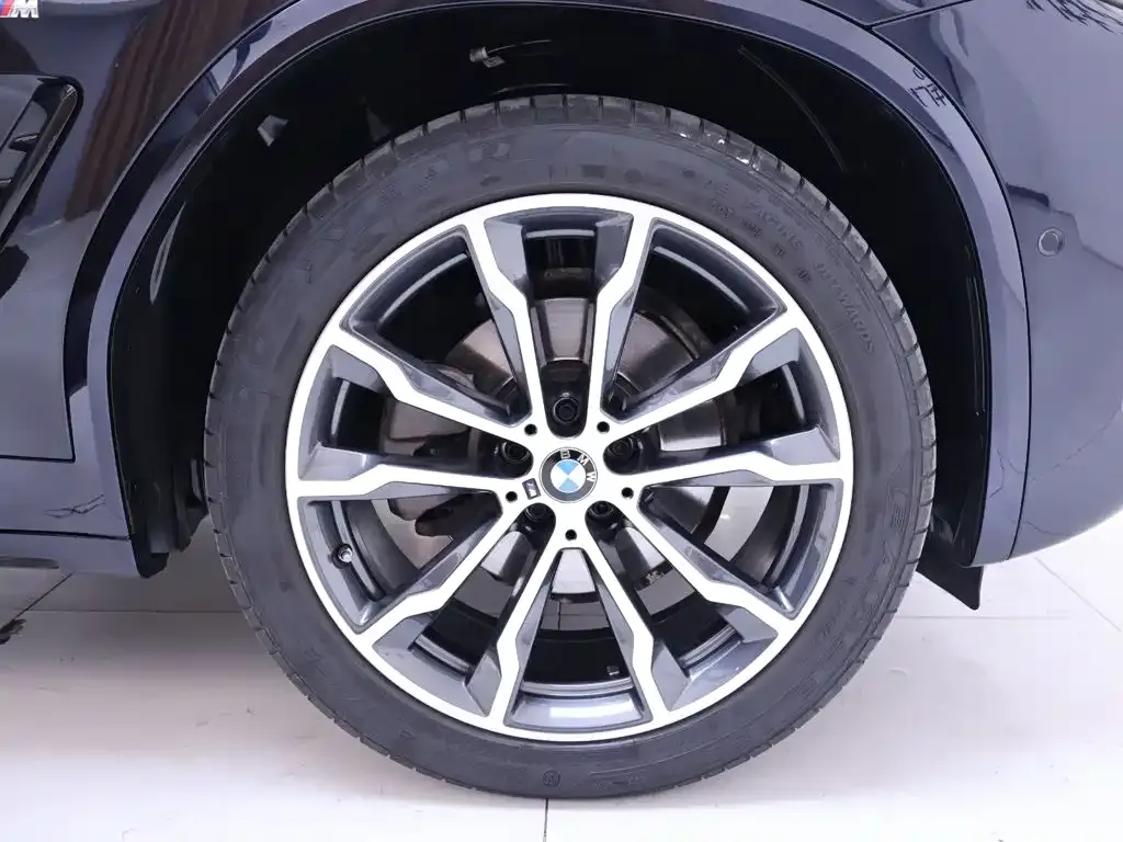 BMW X3 xDrive30i Leading M Night Package 2023 — фото 6