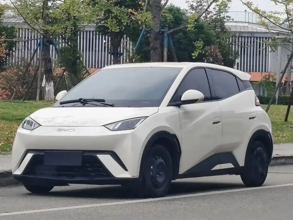 BYD Seagull Glory Edition 305km Vitality Edition 2024