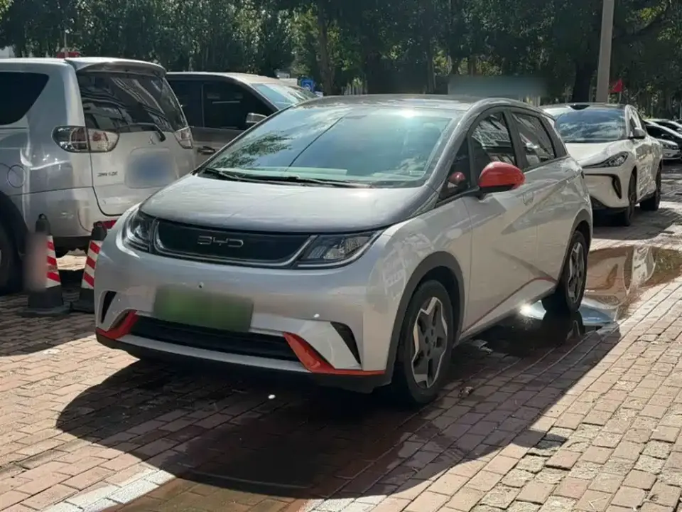 BYD Dolphin Model 405km Fashion Edition 2022