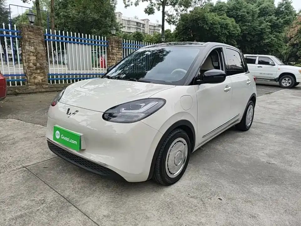 Wuling Motors Wuling Bingo Model 333km Joy+ Version 2023