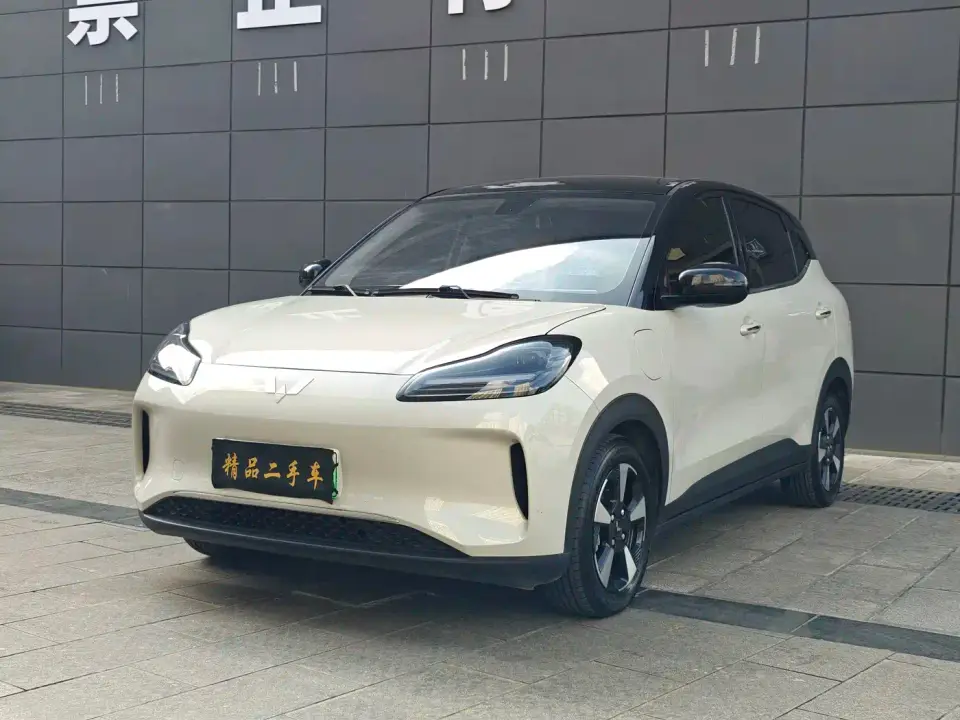 Wuling Motors Wuling Binguo PLUS 401km Range 5-seater 2024