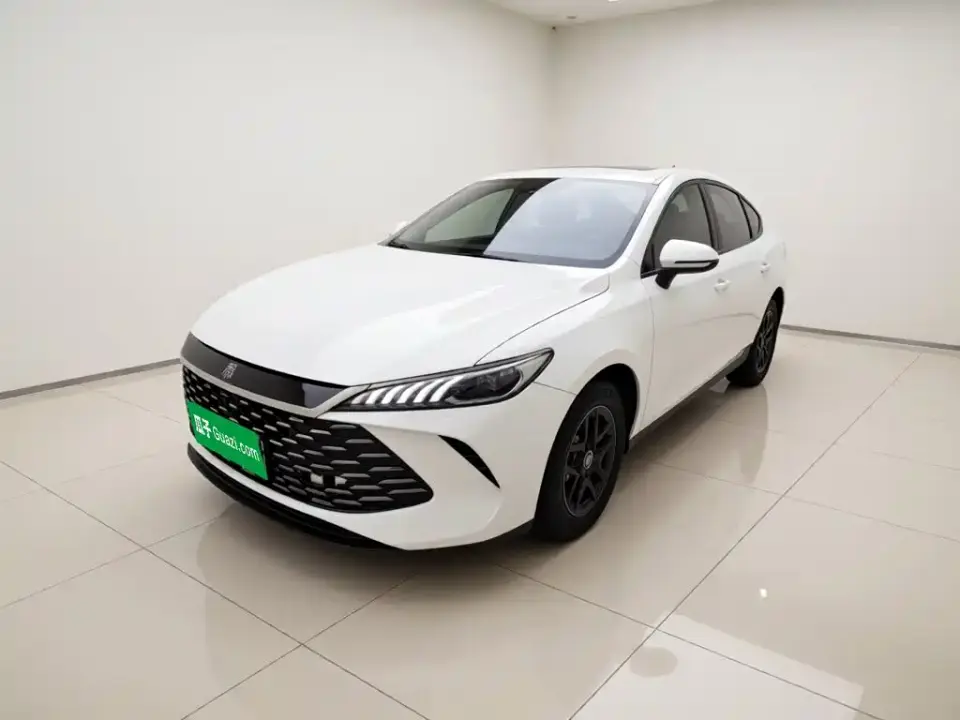 BYD Qin PLUS DM-i Smart Drive 55KM Leader 2025