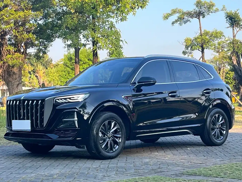 Hongqi HS5 2.0T Flag Enjoy Pro Edition 2024