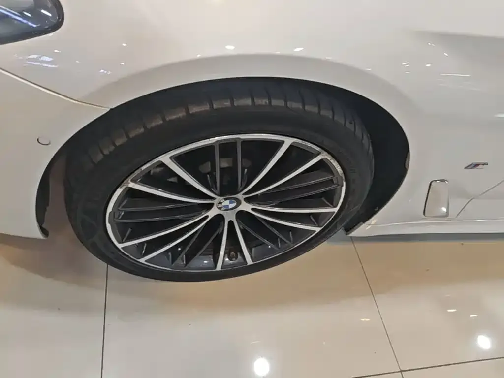 BMW 5 Series Facelift 530Li xDrive M Sport Package 2022 — фото 23