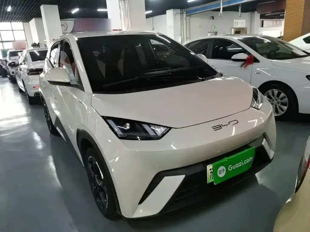 BYD Seagull Freedom Edition 2023 — фото 4