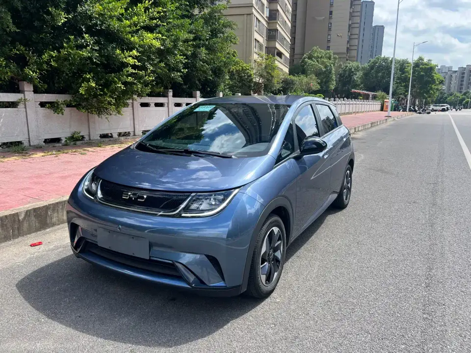 BYD Dolphin Glory Edition 420km Freedom Edition 2024