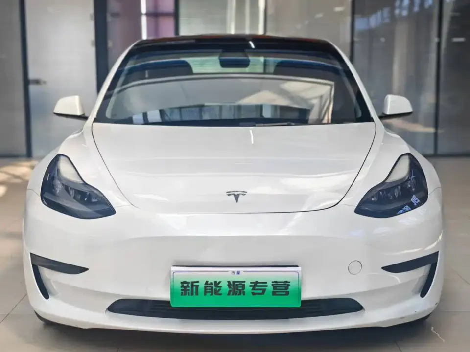 Tesla Model 3 Standard Range Rear-Wheel Drive Upgrade 3D6 2021