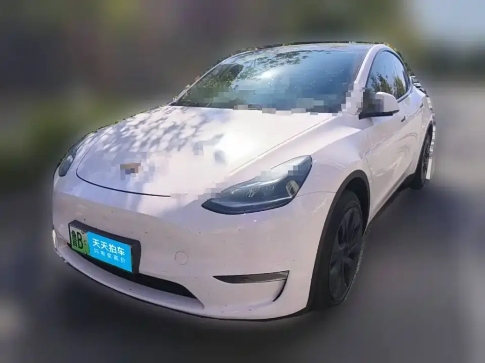 Tesla Model Y Long Range All-Wheel Drive Edition 2024