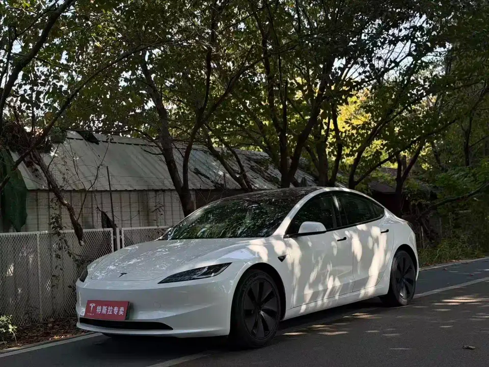 Tesla Model 3 Model Rear-Wheel Drive Edition 2025