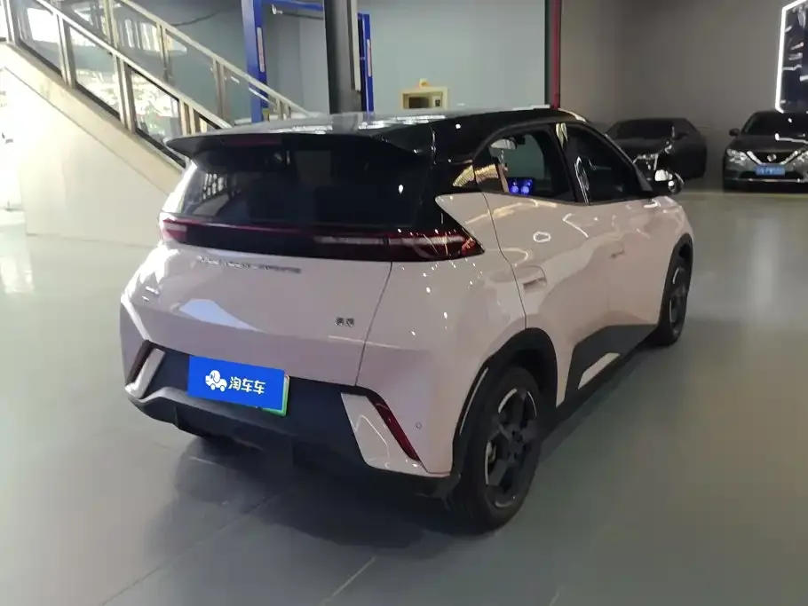 BYD Seagull Glory Edition 405km Soaring Edition 2024 — фото 3