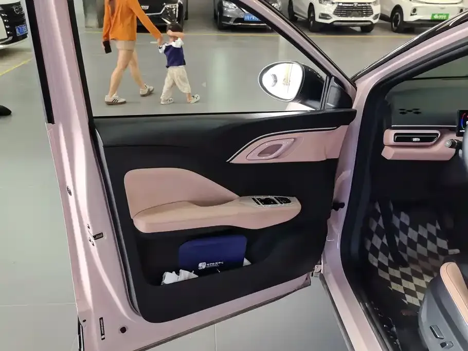 BYD Seagull Glory Edition 405km Soaring Edition 2024 — фото 7