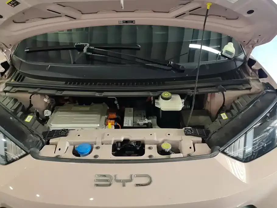 BYD Seagull Glory Edition 405km Soaring Edition 2024 — фото 10