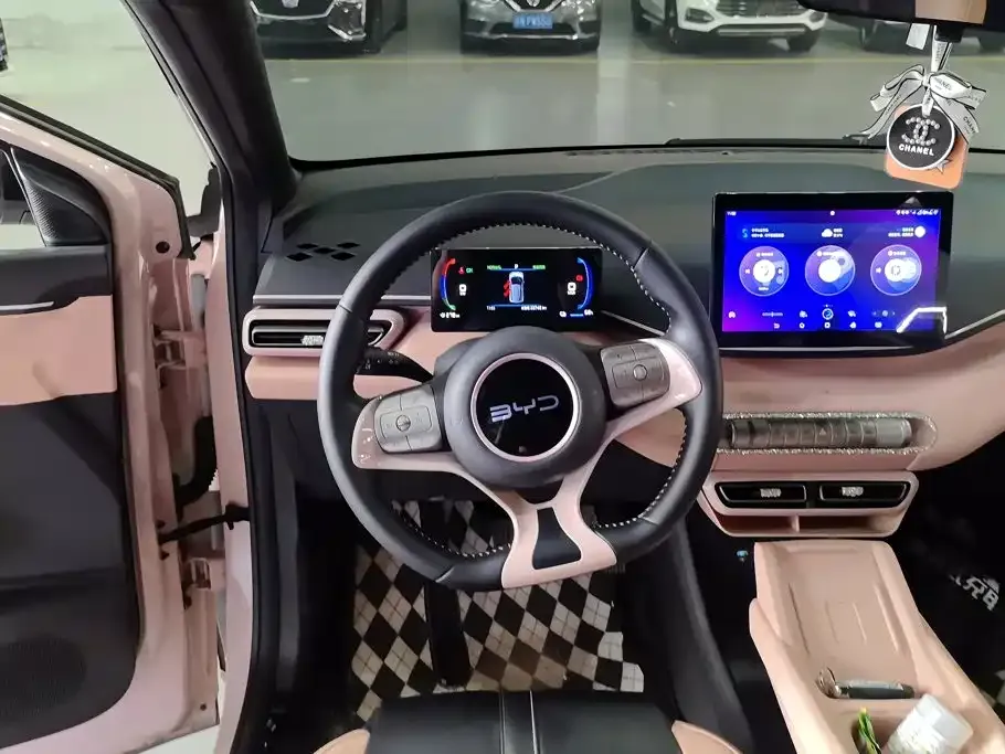BYD Seagull Glory Edition 405km Soaring Edition 2024 — фото 15