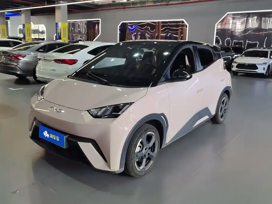 BYD Seagull Glory Edition 405km Soaring Edition 2024