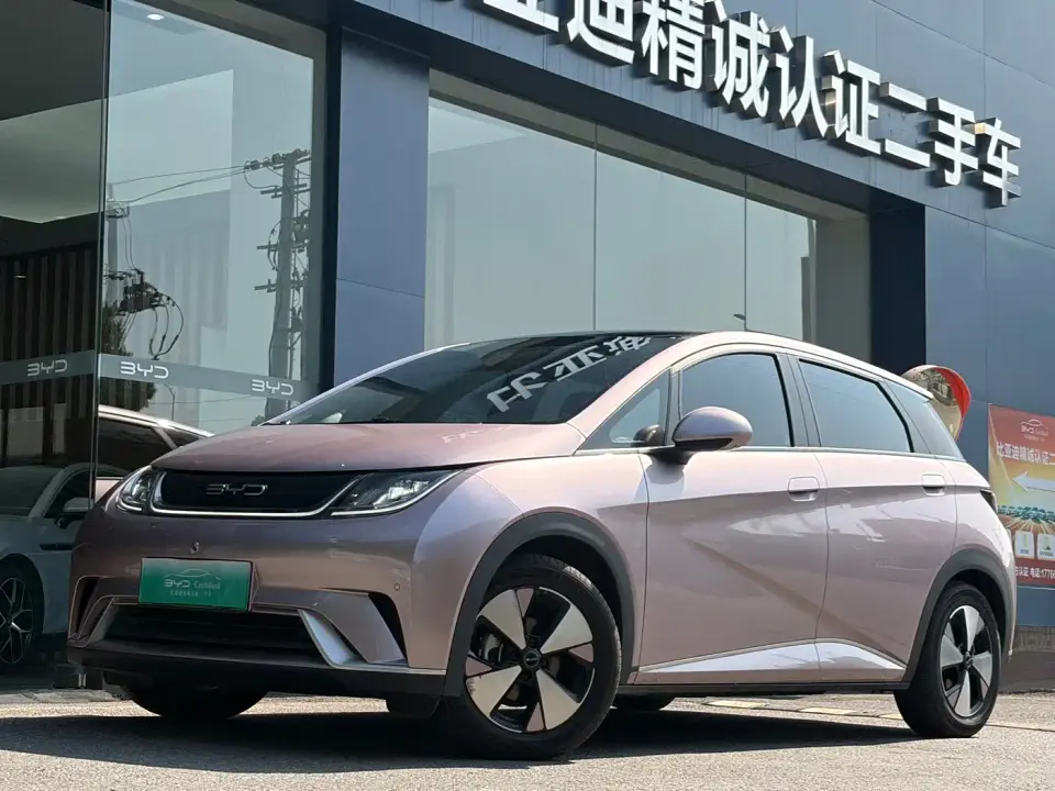 BYD Dolphin 420km Fashion Edition 2023
