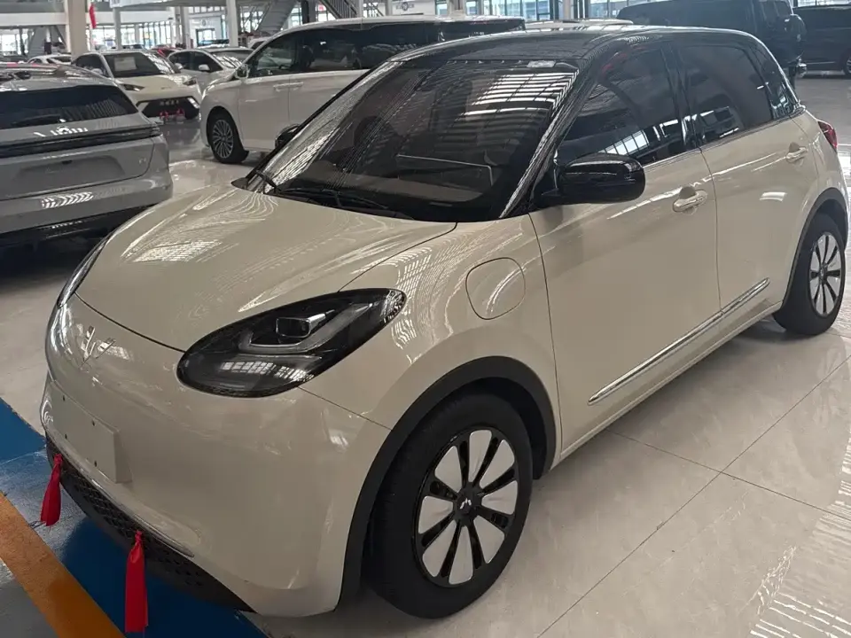 Wuling Motors Wuling Bingo Model 333km Joy+ Version 2024