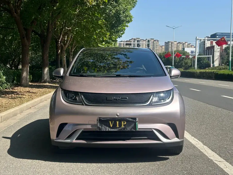 BYD Dolphin Model 405km Fashion Edition 2022