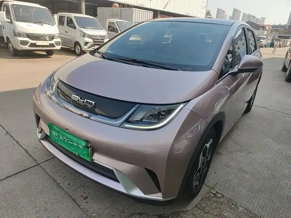 BYD Dolphin 405km Freedom Edition 2023