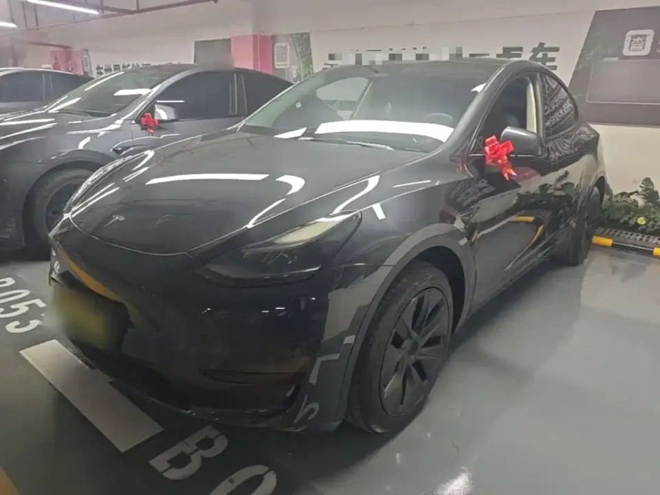 Tesla Model Y Rear-Wheel Drive Version 2025