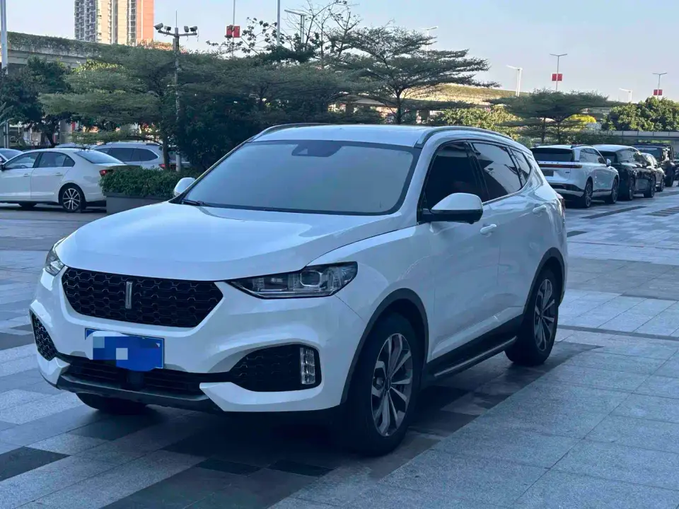Wey VV6 2.0T 2WD Super Luxury China V 2019